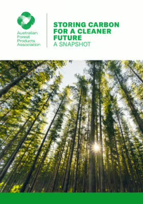 Storing Carbon for a Cleaner Future Snapshot